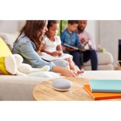 Google Nest Mini Smart højttaler Brunsort